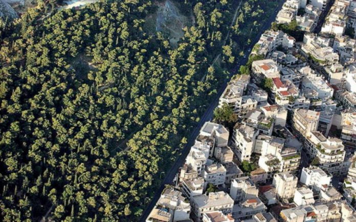 Σημαντική Ανακοίνωση του Δημάρχου Διονύσου Γιάννη Καλαφατέλη για την ανάρτηση των Δασικών Χαρτών_5f5476d53ab75.jpeg