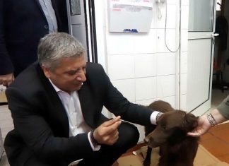 Γ. Πατούλης: Θα συμβάλουμε ενεργά και σε συνεργασία με τις φιλοζωικές οργανώσεις στην επίλυση των χρόνιων προβλημάτων. Αναγκαία η κατάρτιση ενός ολοκληρωμένου προγράμματος επικουρικής βοήθειας για την ευζωία των αδέσποτων ζώων