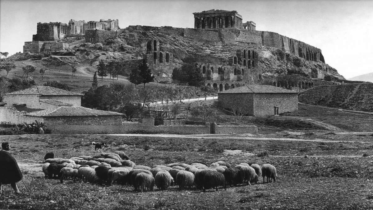 Παρθενώνας 1908 πρόβατα Παλιά Αθήνα