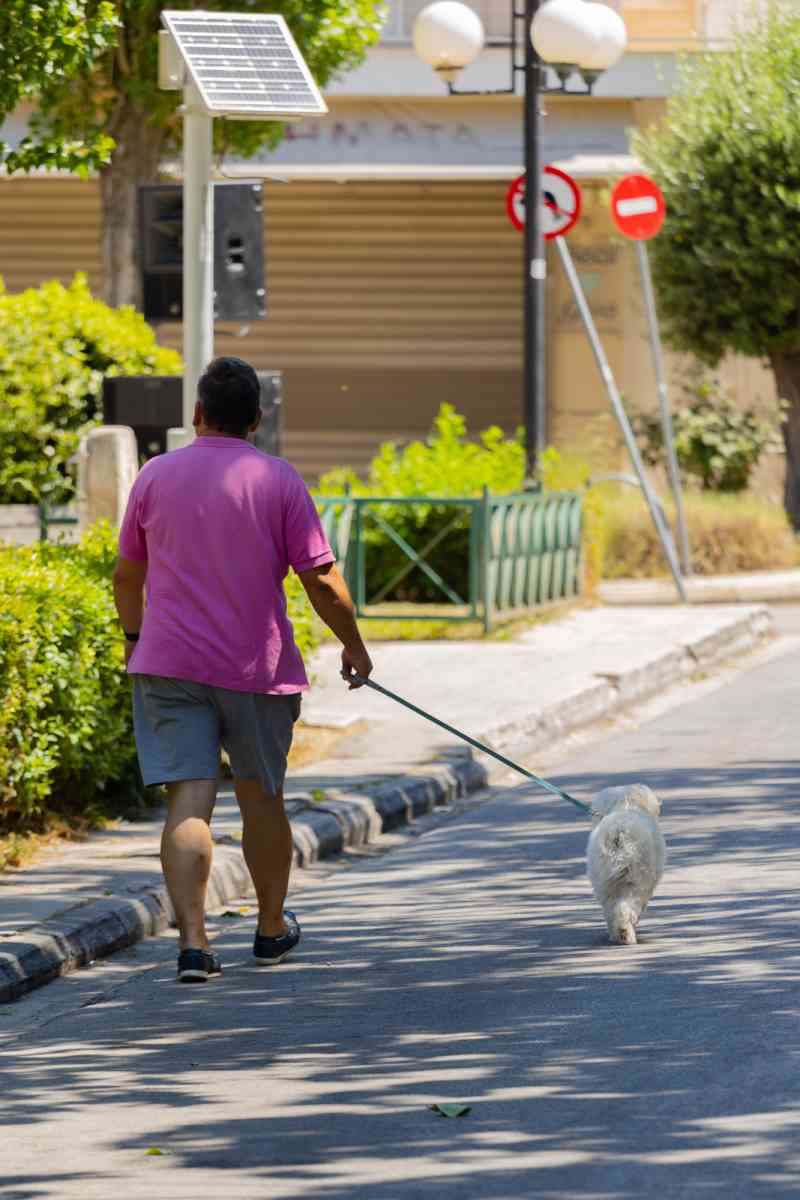 3/7 ΟΙ ΠΟΛΙΤΕΣ ΑΠΟΛΑΥΣΑΝ ΠΟΔΗΛΑΤΑΔΑ ΚΑΙ ΠΕΡΙΠΑΤΟ ΣΤΗ ΝΕΑ ΕΡΥΘΡΑΙΑ