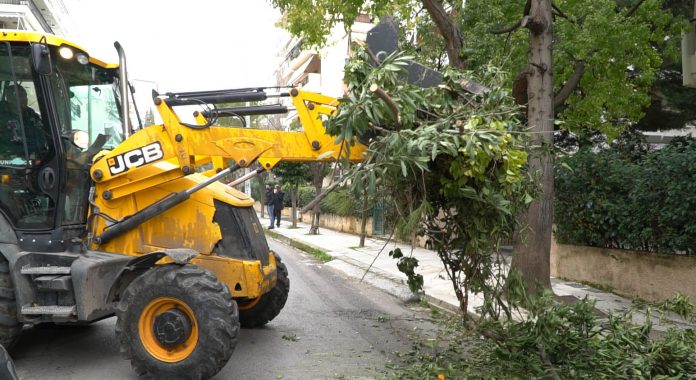 Σε προτεραιότητα οι εργασίες καθαριότητας, απολύμανσης  & συντήρησης πρασίνου στο Δήμο Αμαρουσίου