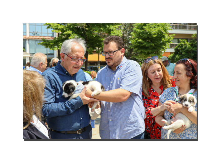 Διανομή τροφής για τα αδέσποτα ζώα από το Δήμο Αμαρουσίου