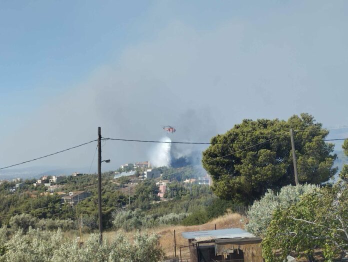 Ενημέρωση επί της επιχείρησης κατάσβεσης των μετώπων φωτιάς από Βαρνάβα