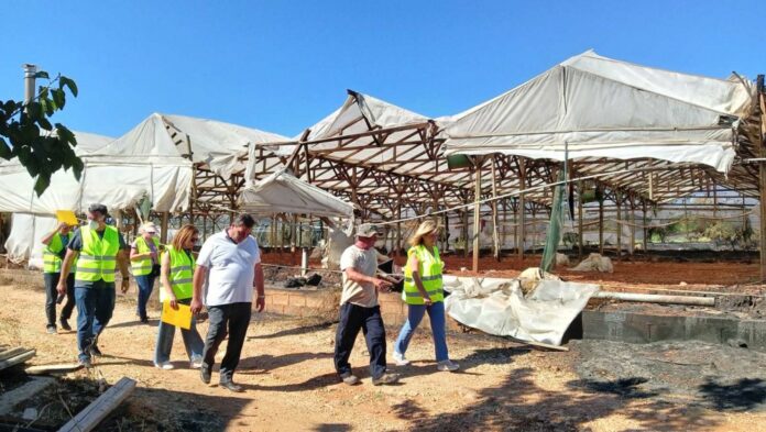 Με εντατικούς ρυθμούς συνεχίζονται από κλιμάκια των Επιτροπών Κρατικής Αρωγής της Περιφέρειας Αττικής οι αυτοψίες πυρόπληκτων επιχειρήσεων