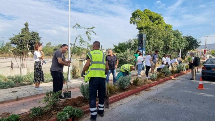 Νέες φυτεύσεις φυτών και δένδρων ομορφαίνουν και αναβαθμίζουν τον ποδηλατοδρόμο του Πολύδροσου