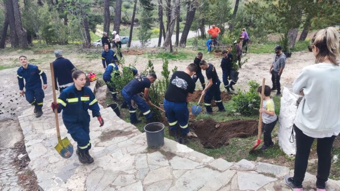 Δράση δενδροφύτευσης του Δήμου Διονύσου στις περιοχές Ροδόπολης και Σταμάτας