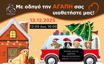 Μεγάλη Γιορτή Υιοθεσίας Αδέσποτων Ζώων, 13/12 στην Κηφισιά