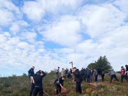 Μαθητική αναδάσωση στην Αχλαδούλα Αγίου Στεφάνου