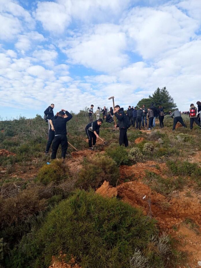 &Mu;&alpha;&theta;&eta;&tau;&iota;&kappa;ή &alpha;&nu;&alpha;&delta;ά&sigma;&omega;&sigma;&eta; &sigma;&tau;&eta;&nu; &Alpha;&chi;&lambda;&alpha;&delta;&omicron;ύ&lambda;&alpha; &Alpha;&gamma;ί&omicron;&upsilon; &Sigma;&tau;&epsilon;&phi;ά&nu;&omicron;&upsilon;